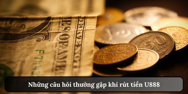 Những câu hỏi thường gặp