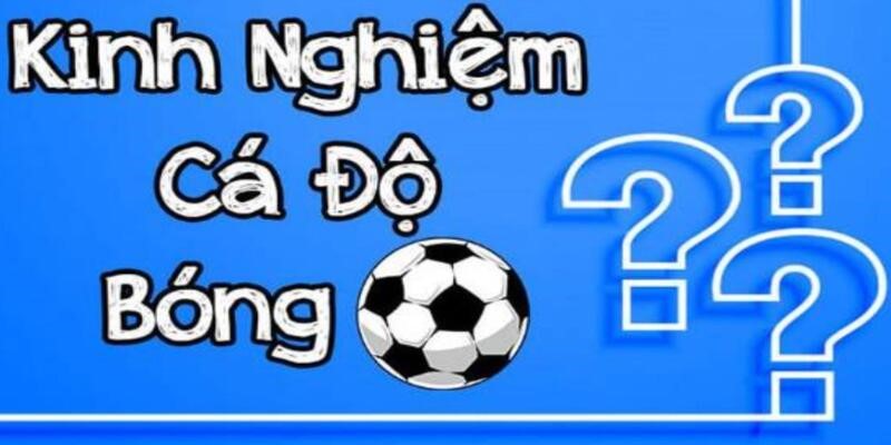 Kinh nghiệm cược bóng đá thắng nhanh cùng U888